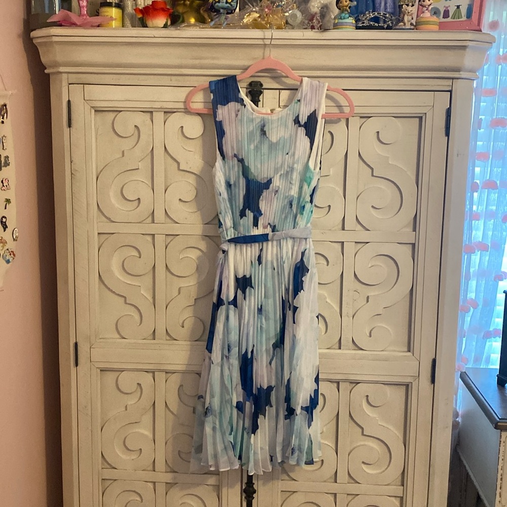 Blue and White Dress